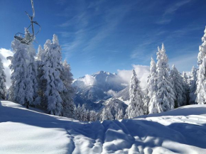 Holiday flat Daniela, Hippach im Zillertal